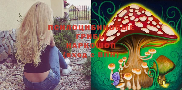 кокс Баксан