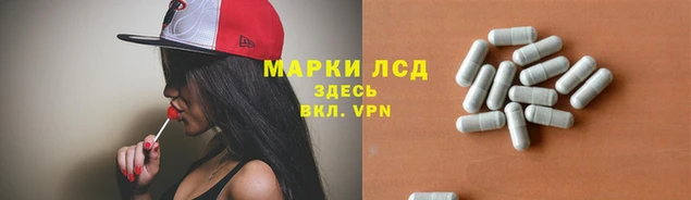 кокс Баксан