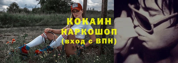 кокс Баксан