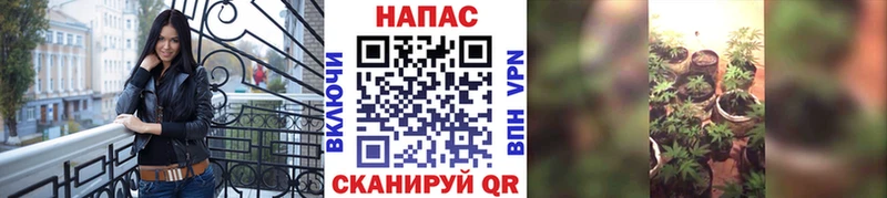 Канабис семена  Заозёрск 